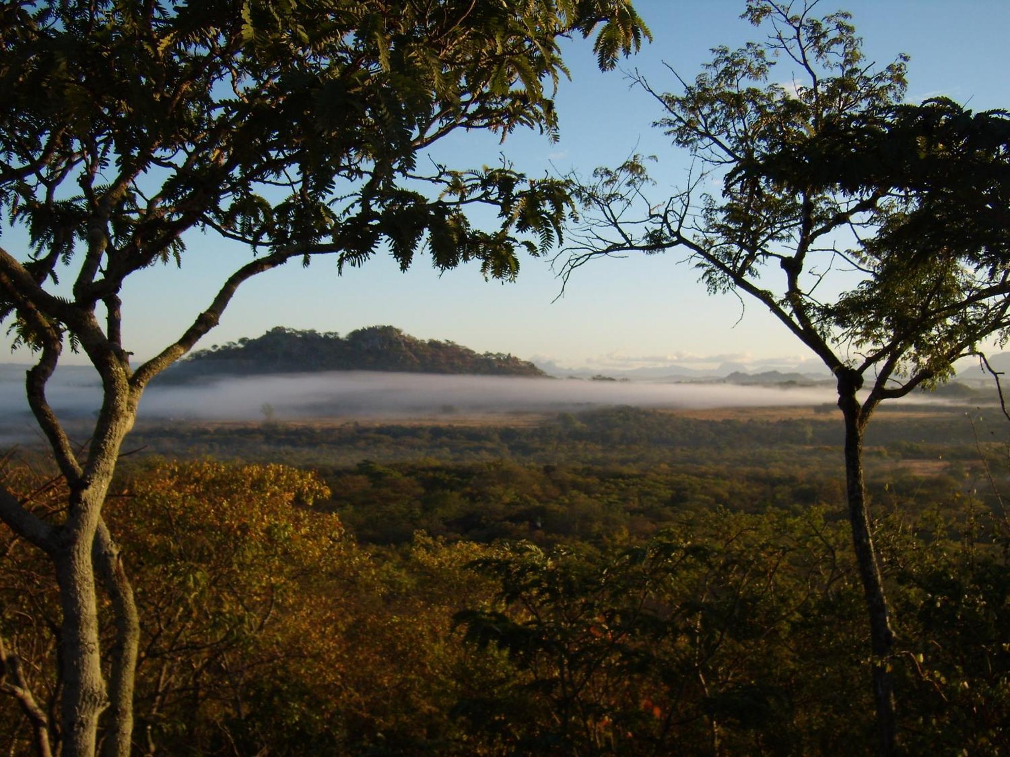 Musangano Lodge Odzi المظهر الخارجي الصورة